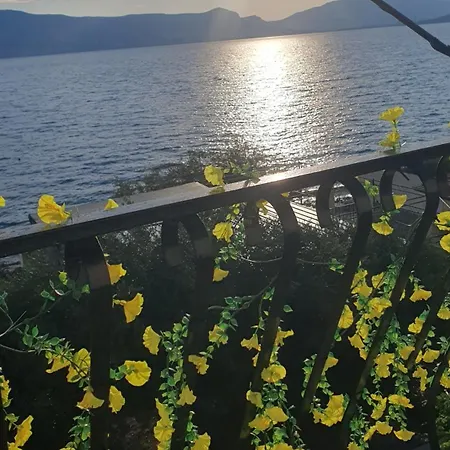 Viva Ciovo * Slatine