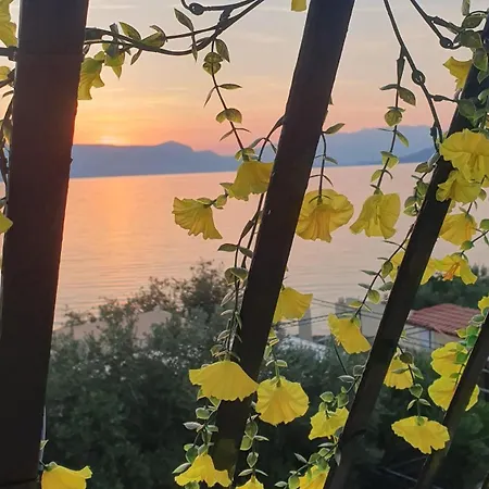 Viva Ciovo Slatine